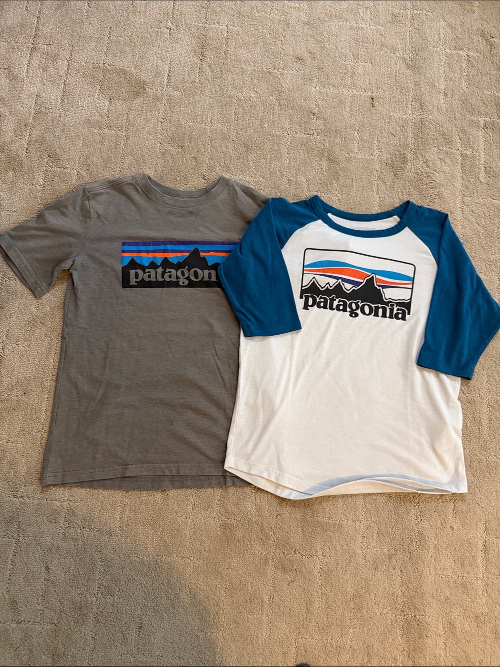 Patagonia Kids 2  Graphic Tees - Gray & White with Blue